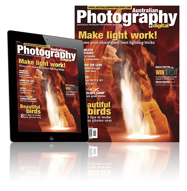 November AP Out Now: Birds, Natural Light, Montages and More